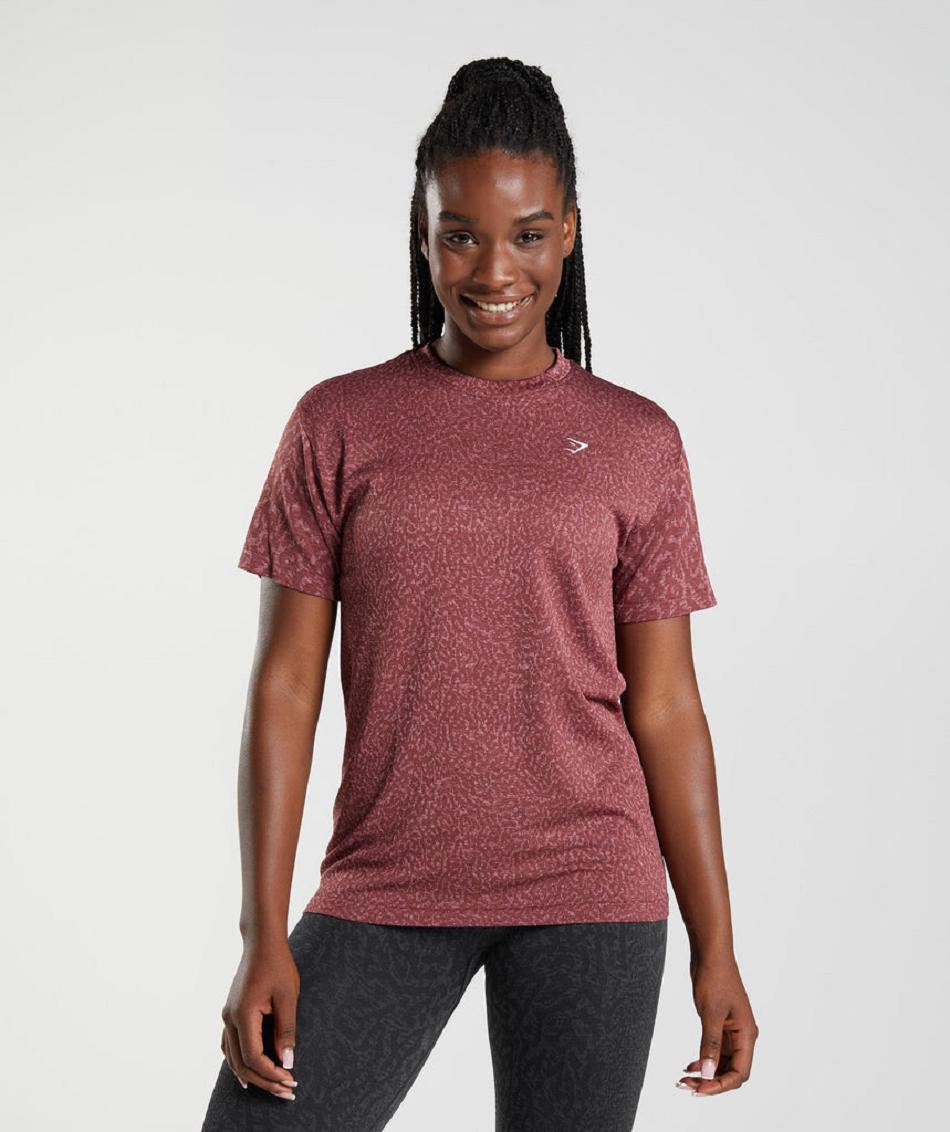 Gymshark Adapt Animal Seamless Ženske T Shirts Roze Smeđe | HR 3283FDN